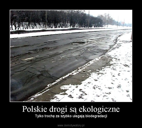 Polskie drogi są ekologiczne