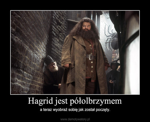 Hagrid jest półolbrzymem