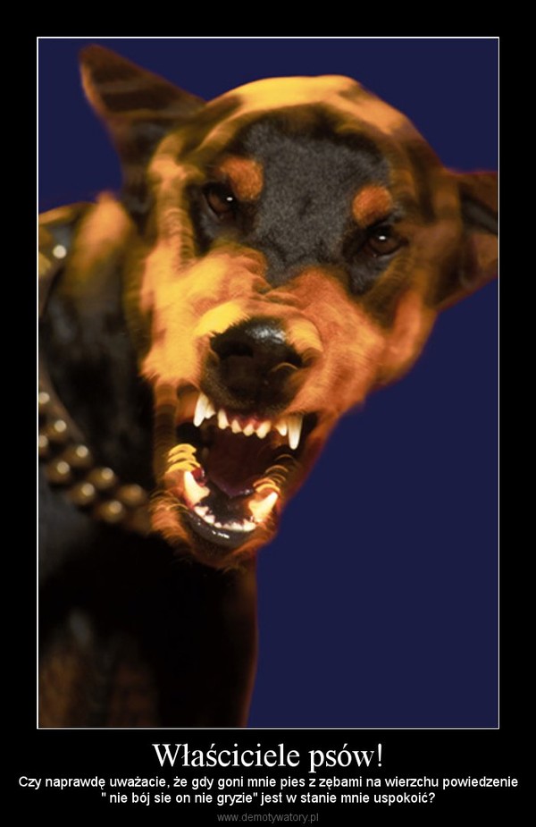 Właściciele psów! – Czy naprawdę uważacie, że gdy goni mnie pies z zębami na wierzchu powiedzenie" nie bój sie on nie gryzie" jest w stanie mnie uspokoić? 