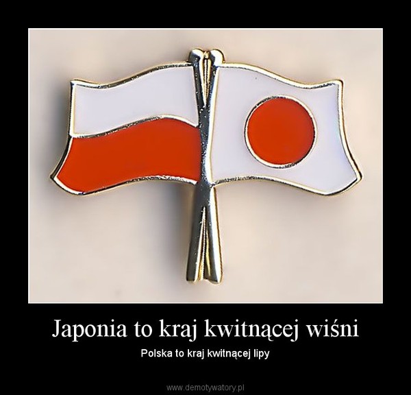 Japonia to kraj kwitnącej wiśni – Polska to kraj kwitnącej lipy 