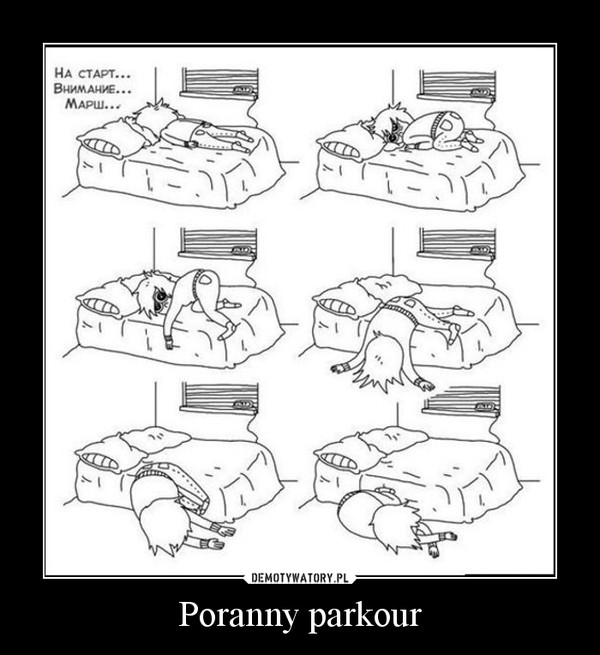 Poranny parkour –  