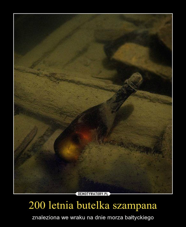 200 letnia butelka szampana – znaleziona we wraku na dnie morza bałtyckiego 