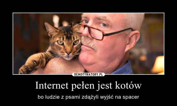 Internet pełen jest kotów