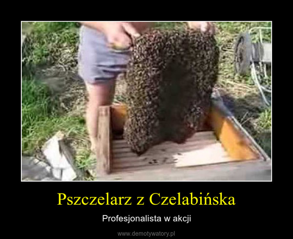 Pszczelarz z Czelabińska – Profesjonalista w akcji 
