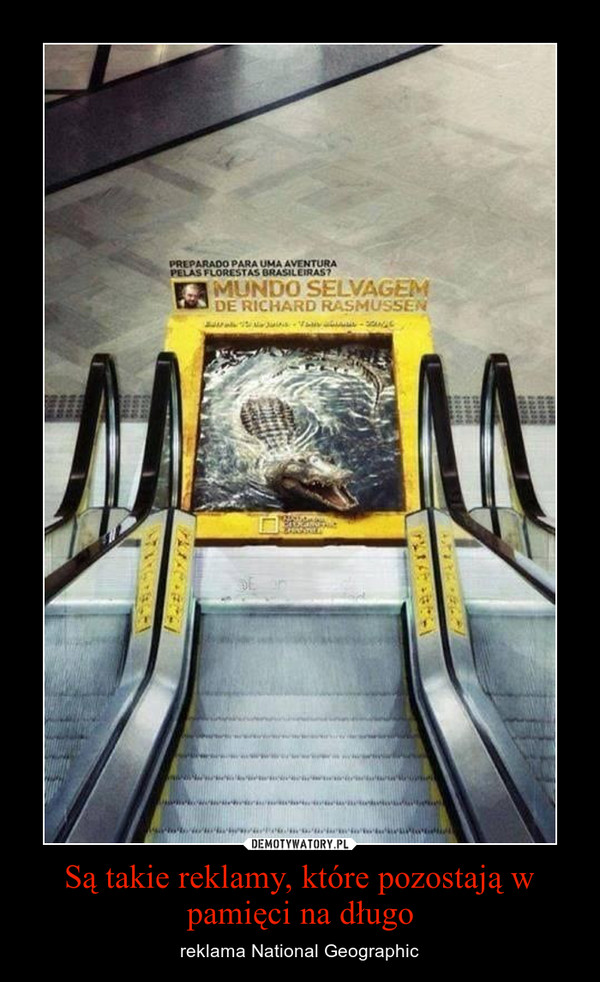 Są takie reklamy, które pozostają w pamięci na długo – reklama National Geographic 