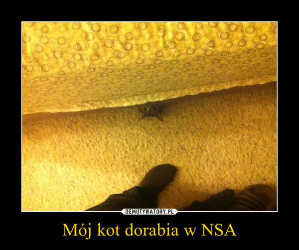 Mój kot dorabia w NSA –  