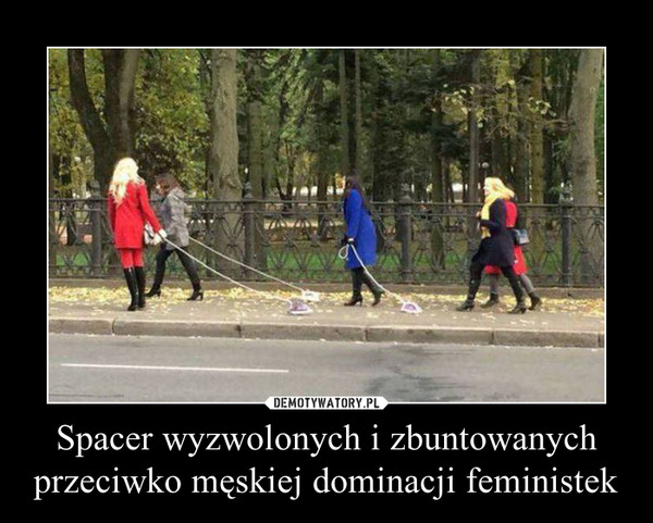 Spacer wyzwolonych i zbuntowanych przeciwko męskiej dominacji feministek