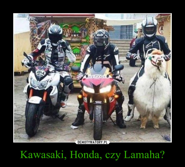 Kawasaki, Honda, czy Lamaha? –  