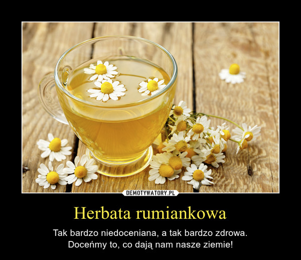 Herbata rumiankowa