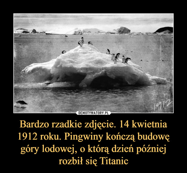 Bardzo rzadkie zdjęcie. 14 kwietnia 1912 roku. Pingwiny kończą budowę góry lodowej, o którą dzień później rozbił się Titanic –  