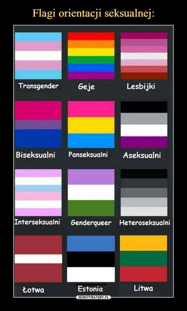  –  Transgender Geje Lesbijki Biseksualni Panseksualni Aseksualni Interseksualni Genderqueer Heteroseksualni Łotwa Estonia Litwa 