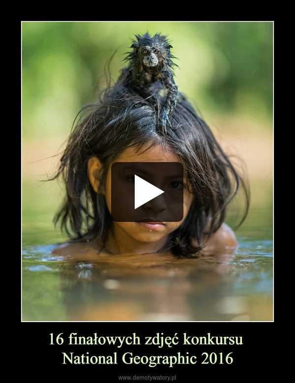 16 finałowych zdjęć konkursu National Geographic 2016 –  