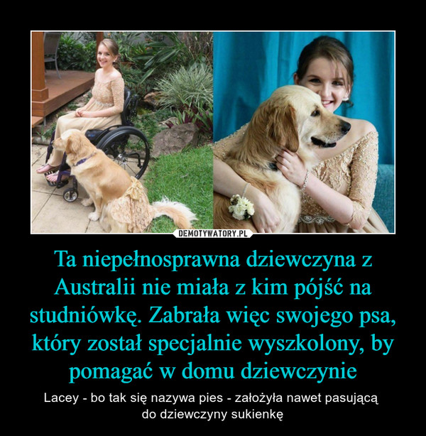 Ta niepełnosprawna dziewczyna z Australii nie miała z kim pójść na studniówkę. Zabrała więc swojego psa, który został specjalnie wyszkolony, by pomagać w domu dziewczynie – Lacey - bo tak się nazywa pies - założyła nawet pasującą do dziewczyny sukienkę 