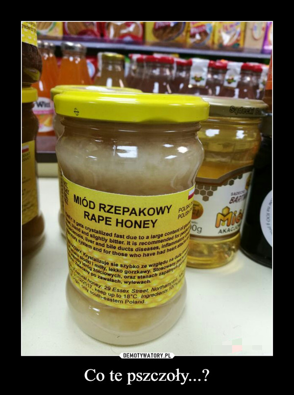 Co te pszczoły...? –  miód rzepakowy rape honey
