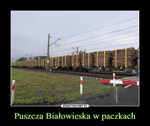 Puszcza Białowieska w paczkach –  