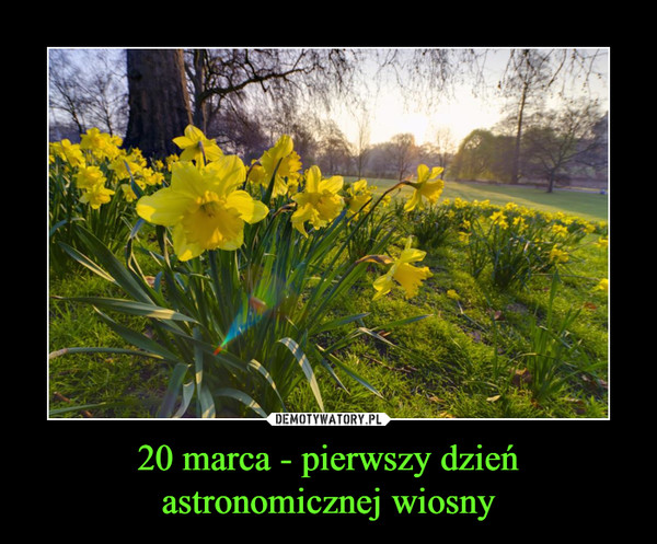 20 marca - pierwszy dzień astronomicznej wiosny –  