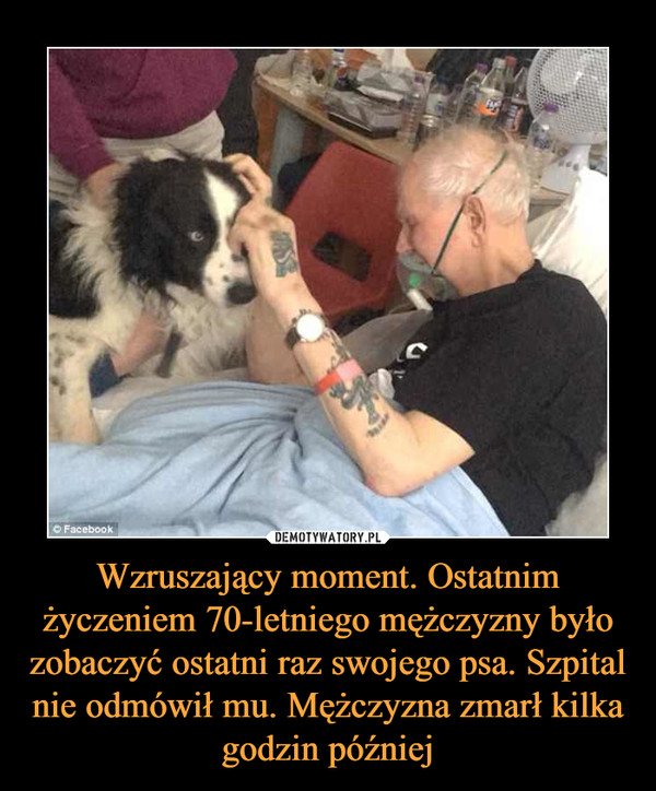 Wzruszający moment. Ostatnim życzeniem 70-letniego mężczyzny było zobaczyć ostatni raz swojego psa. Szpital nie odmówił mu. Mężczyzna zmarł kilka godzin później –  