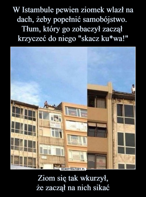 W Istambule pewien ziomek wlazł na dach, żeby popełnić samobójstwo. 
Tłum, który go zobaczył zaczął 
krzyczeć do niego "skacz ku*wa!" Ziom się tak wkurzył,
że zaczął na nich sikać