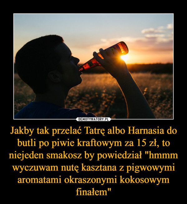 Jakby tak przelać Tatrę albo Harnasia do butli po piwie kraftowym za 15 zł, to niejeden smakosz by powiedział "hmmm wyczuwam nutę kasztana z pigwowymi aromatami okraszonymi kokosowym finałem" –  