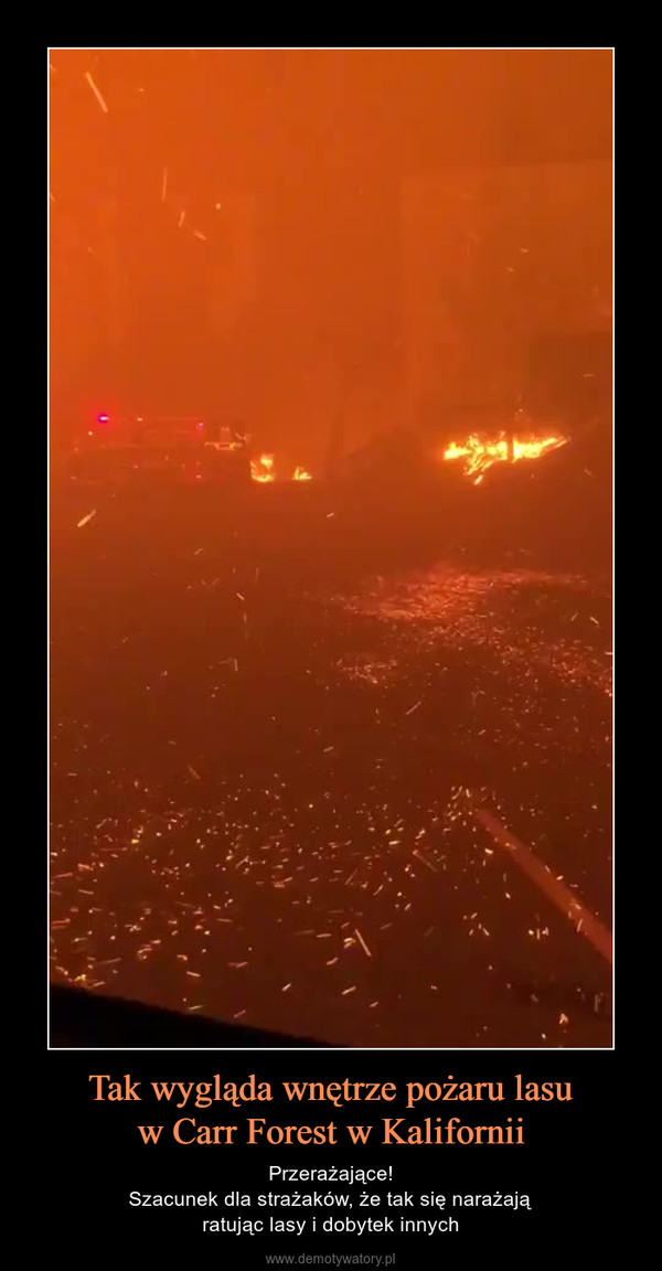 Tak wygląda wnętrze pożaru lasuw Carr Forest w Kalifornii – Przerażające!Szacunek dla strażaków, że tak się narażająratując lasy i dobytek innych 
