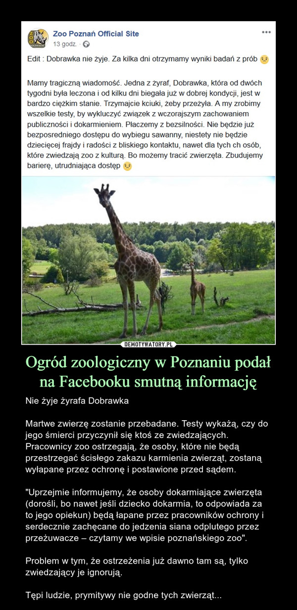 Ogród zoologiczny w Poznaniu podał
na Facebooku smutną informację