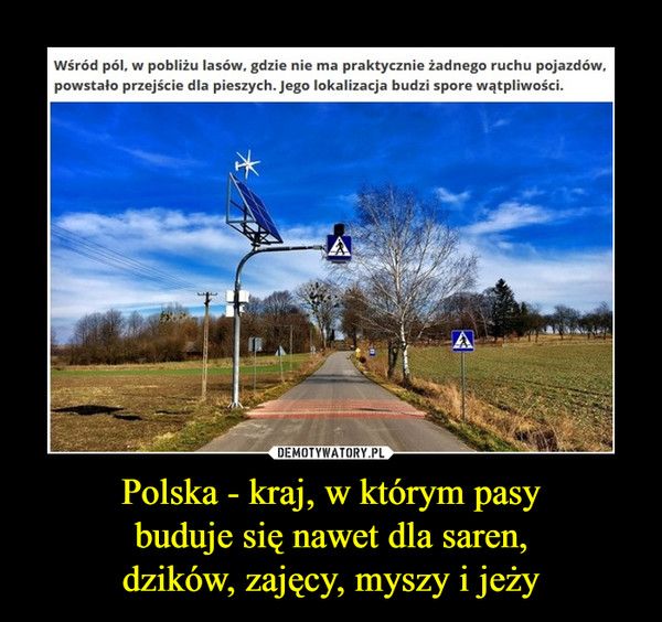 Polska - kraj, w którym pasybuduje się nawet dla saren,dzików, zajęcy, myszy i jeży –  Wśród pól, w pobliżu lasów, gdzie nie ma praktycznie żadnego ruchu pojazdów,powstało przejście dla pieszych. Jego lokalizacja budzi spore wątpliwości.