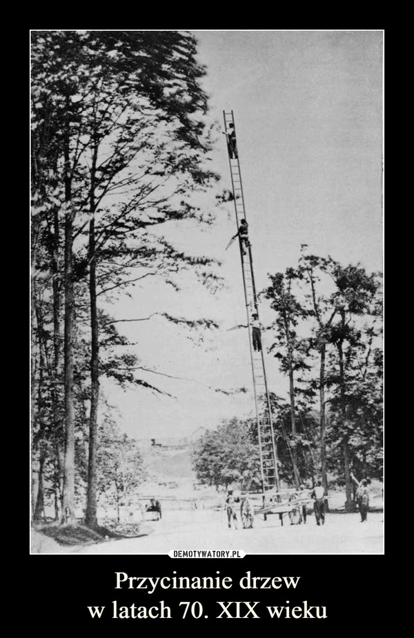 Przycinanie drzeww latach 70. XIX wieku –  