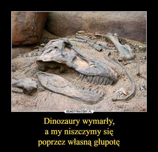 Dinozaury wymarły,a my niszczymy siępoprzez własną głupotę –  