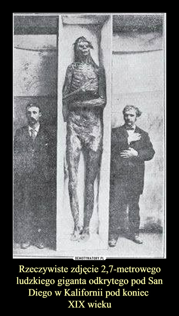 Rzeczywiste zdjęcie 2,7-metrowego ludzkiego giganta odkrytego pod San Diego w Kalifornii pod koniec XIX wieku –  