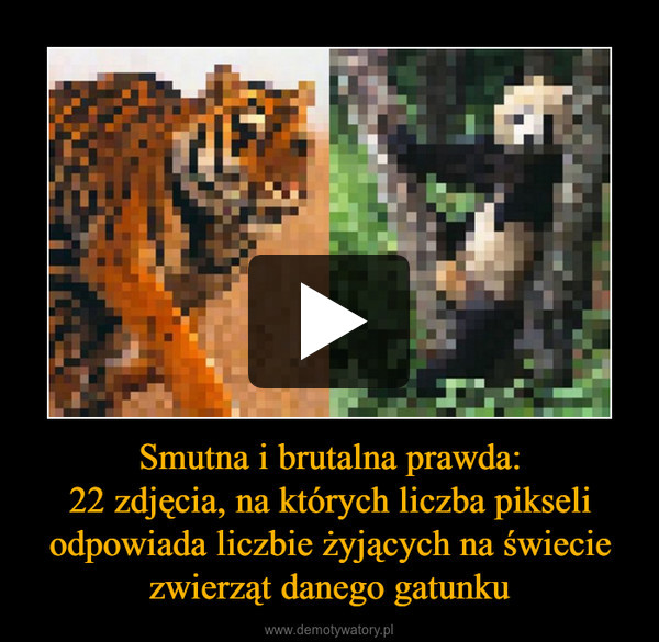 Smutna i brutalna prawda:22 zdjęcia, na których liczba pikseli odpowiada liczbie żyjących na świecie zwierząt danego gatunku –  