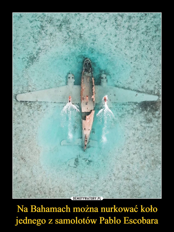 Na Bahamach można nurkować koło jednego z samolotów Pablo Escobara