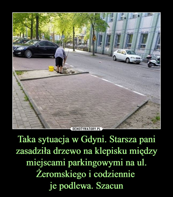 Taka sytuacja w Gdyni. Starsza pani zasadziła drzewo na klepisku między miejscami parkingowymi na ul. Żeromskiego i codziennie 
je podlewa. Szacun