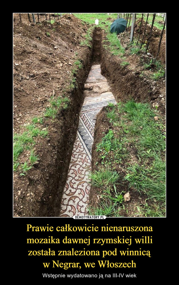 Prawie całkowicie nienaruszona
mozaika dawnej rzymskiej willi
została znaleziona pod winnicą
w Negrar, we Włoszech