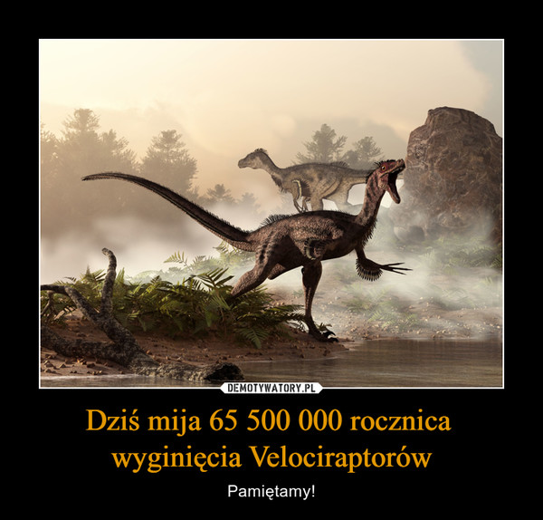 Dziś mija 65 500 000 rocznica wyginięcia Velociraptorów – Pamiętamy! 