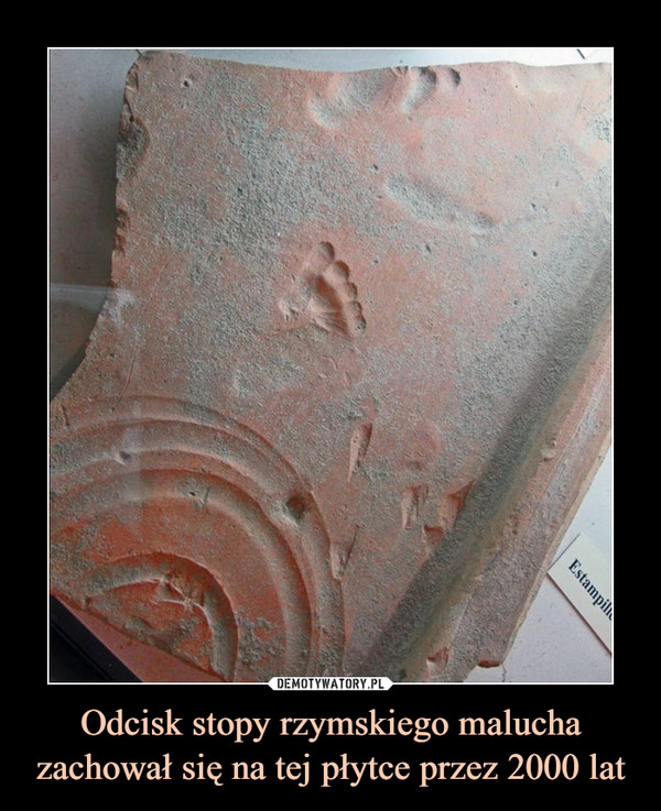 Odcisk stopy rzymskiego malucha zachował się na tej płytce przez 2000 lat –  
