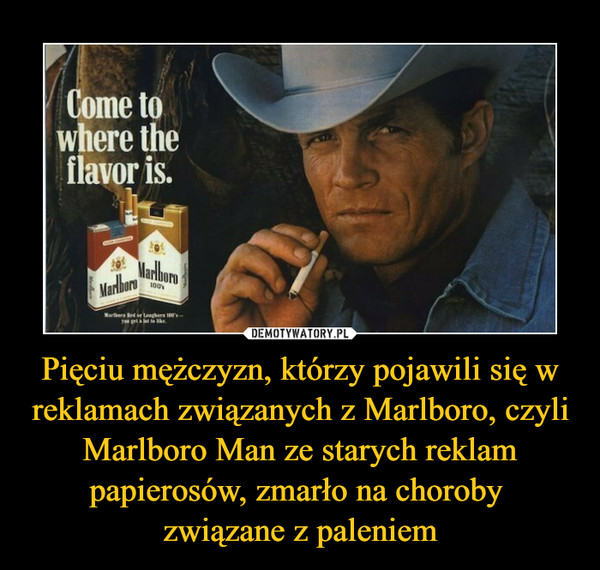 Pięciu mężczyzn, którzy pojawili się w reklamach związanych z Marlboro, czyli Marlboro Man ze starych reklam papierosów, zmarło na choroby związane z paleniem –  