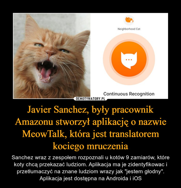 Javier Sanchez, były pracownik Amazonu stworzył aplikację o nazwie MeowTalk, która jest translatoremkociego mruczenia – Sanchez wraz z zespołem rozpoznali u kotów 9 zamiarów, które koty chcą przekazać ludziom. Aplikacja ma je zidentyfikowac i przetłumaczyć na znane ludziom wrazy jak "jestem głodny". Aplikacja jest dostępna na Androida i iOS 