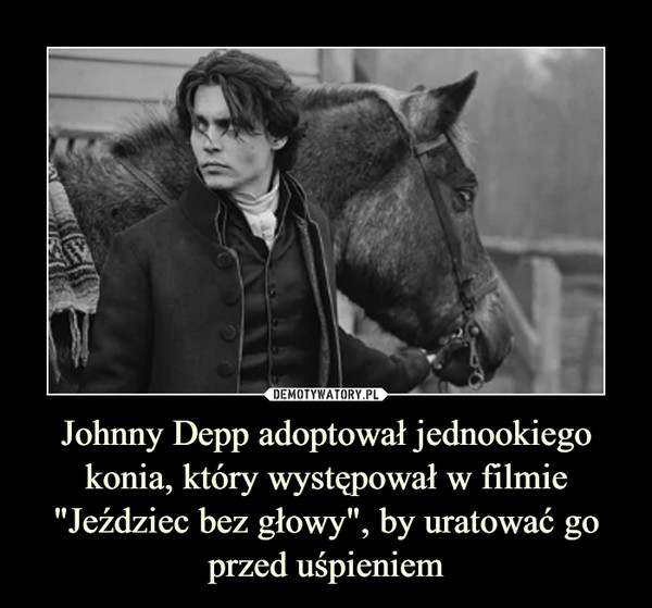 Johnny Depp adoptował jednookiego konia, który występował w filmie "Jeździec bez głowy", by uratować go przed uśpieniem –  