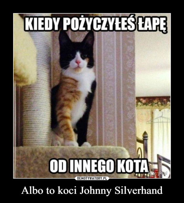 Albo to koci Johnny Silverhand –  Kiedy pożyczyłeś łapę od innego kota