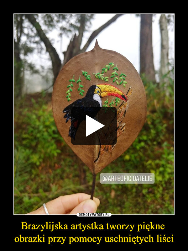 Brazylijska artystka tworzy piękne 
obrazki przy pomocy uschniętych liści