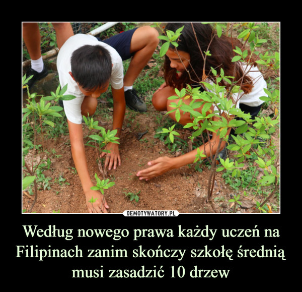 Według nowego prawa każdy uczeń na Filipinach zanim skończy szkołę średnią musi zasadzić 10 drzew