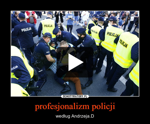 profesjonalizm policji – według Andrzeja.D 