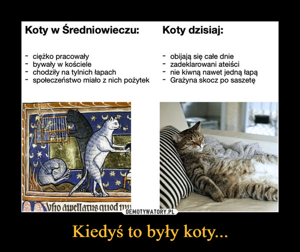 Kiedyś to były koty... –  Koty w Średniowieczu:Koty dzisiaj:ciężko pracowały- bywały w kościelechodziły na tylnich łapachspołeczeństwo miało z nich pożytekobijają się całe dniezadeklarowani ateiścinie kiwną nawet jedną łapąGrażyna skocz po saszetęAVfio apellatus quod mu