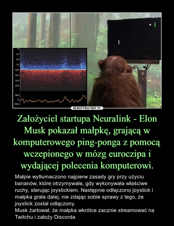 Założyciel startupa Neuralink - Elon Musk pokazał małpkę, grającą w komputerowego ping-ponga z pomocą wczepionego w mózg euroczipa i wydającej polecenia komputerowi. – Małpie wytłumaczono najpierw zasady gry przy użyciu bananów, które otrzymywała, gdy wykonywała właściwe ruchy, sterując joystickiem. Następnie odłączono joystick i małpka grała dalej, nie zdając sobie sprawy z tego, że joystick został odłączony. Musk żartował, że małpka wkrótce zacznie streamować na Twitchu i założy Discorda 