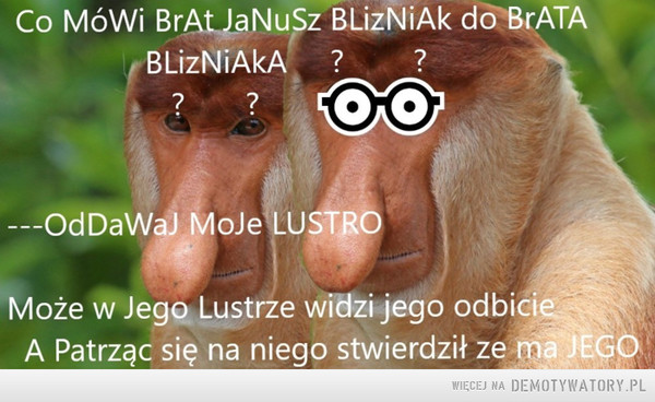 Januszedwa