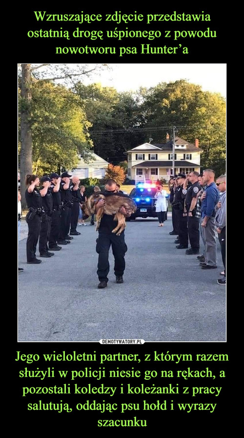 Wzruszające zdjęcie przedstawia ostatnią drogę uśpionego z powodu nowotworu psa Hunter’a Jego wieloletni partner, z którym razem służyli w policji niesie go na rękach, a pozostali koledzy i koleżanki z pracy salutują, oddając psu hołd i wyrazy szacunku