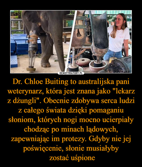 Dr. Chloe Buiting to australijska pani weterynarz, która jest znana jako "lekarz z dżungli". Obecnie zdobywa serca ludzi z całego świata dzięki pomaganiu słoniom, których nogi mocno ucierpiały chodząc po minach lądowych, zapewniając im protezy. Gdyby nie jej poświęcenie, słonie musiałyby zostać uśpione –  