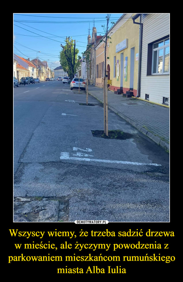 Wszyscy wiemy, że trzeba sadzić drzewa w mieście, ale życzymy powodzenia z parkowaniem mieszkańcom rumuńskiego miasta Alba Iulia