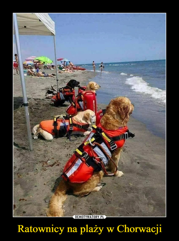 Ratownicy na plaży w Chorwacji –  