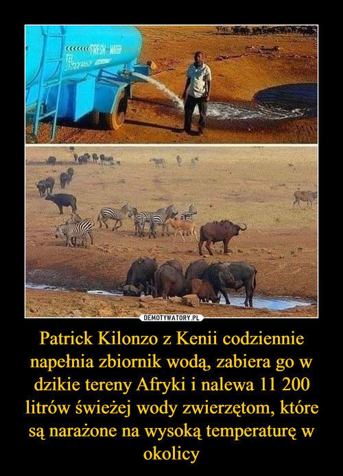 Patrick Kilonzo z Kenii codziennie napełnia zbiornik wodą, zabiera go w dzikie tereny Afryki i nalewa 11 200 litrów świeżej wody zwierzętom, które są narażone na wysoką temperaturę w okolicy